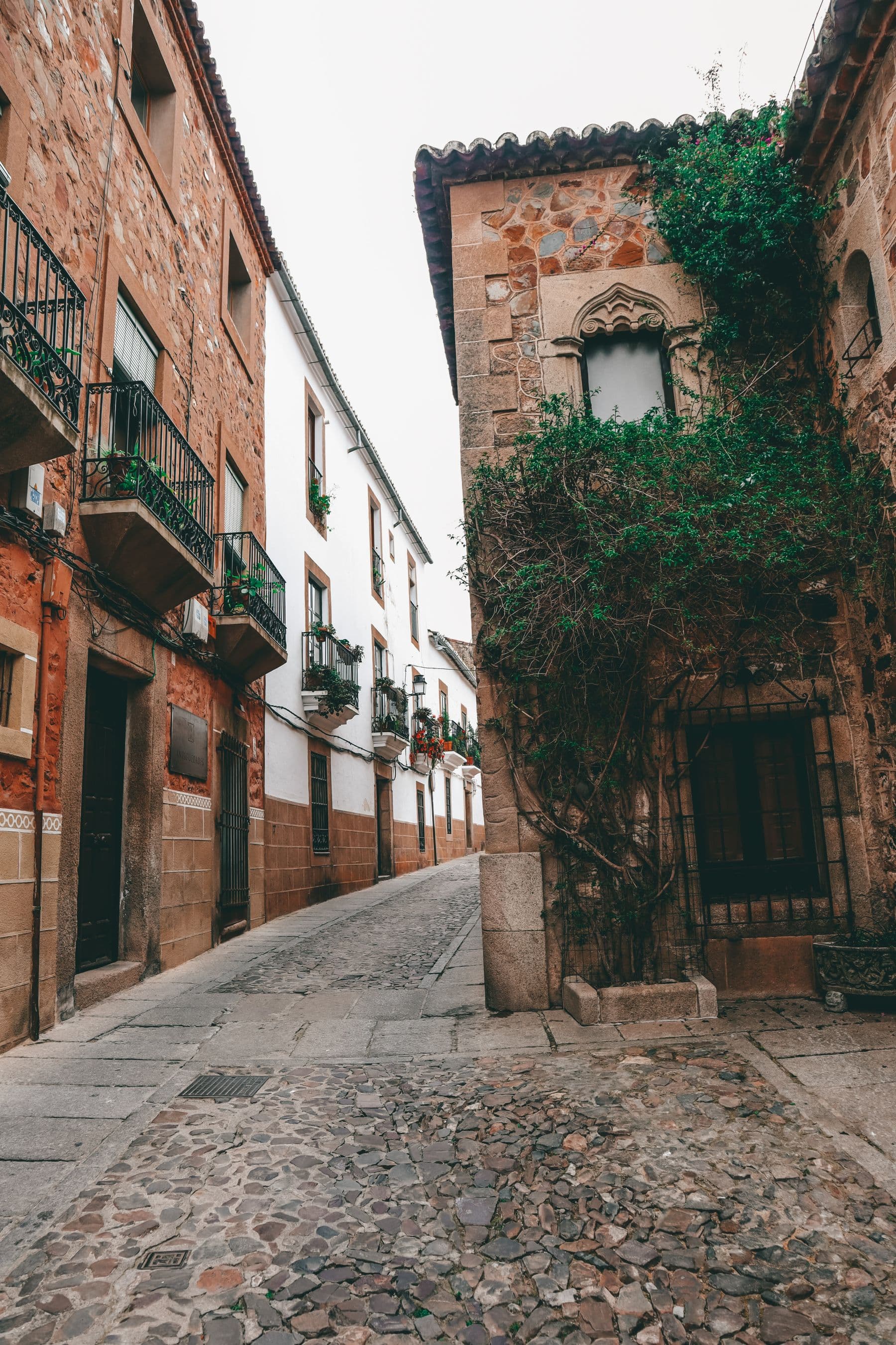 Reformar respetando la arquitectura histórica de Dénia (la era de la pasa)